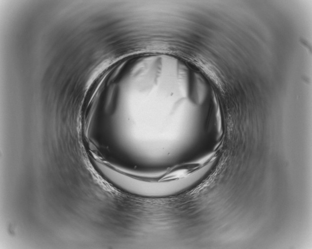 X0000098080944200804181155