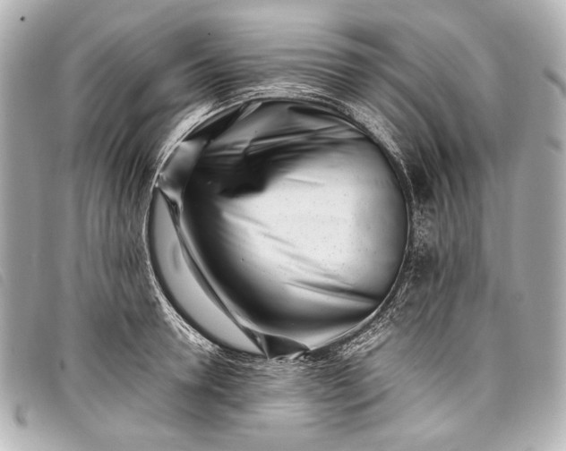 X0000098080946200804181155