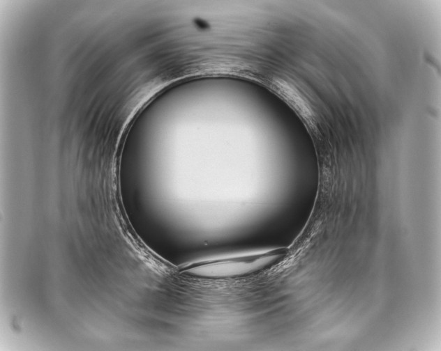 X0000098080948200804181155