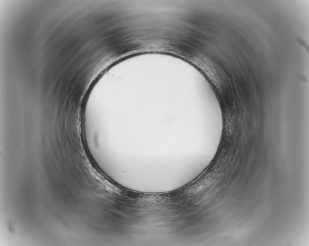 X0000098080950200804181155