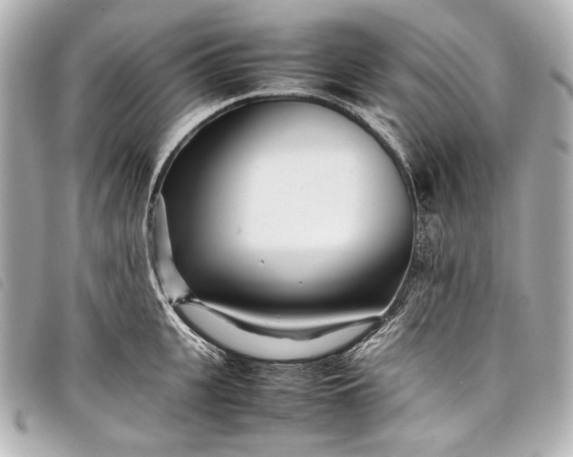 X0000098080951200804181155