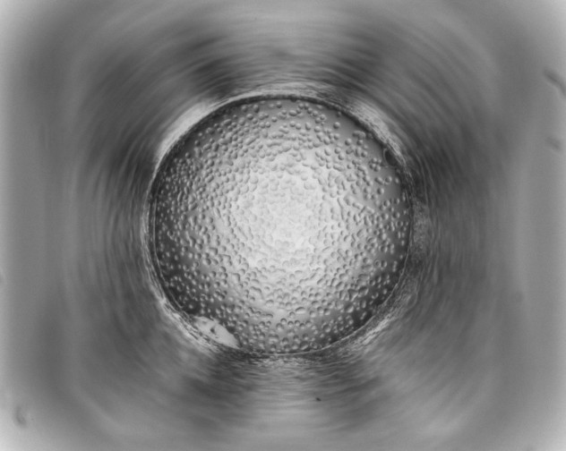 X0000098080952200804181155