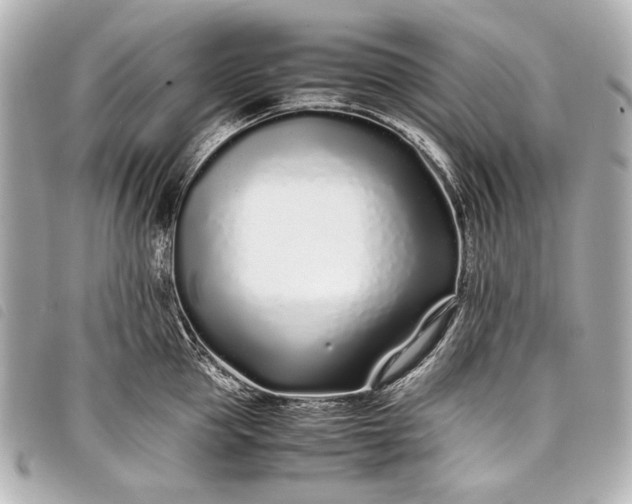 X0000098080953200804181155