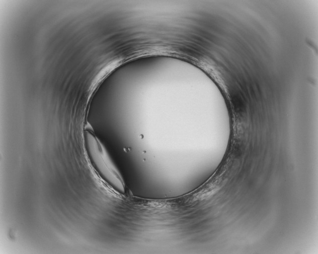 X0000098080954200804181155