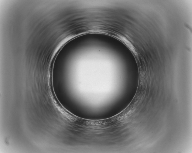 X0000098080955200804181155