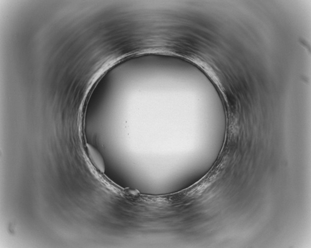 X0000098080957200804181155