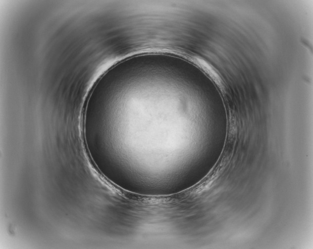 X0000098080958200804181155