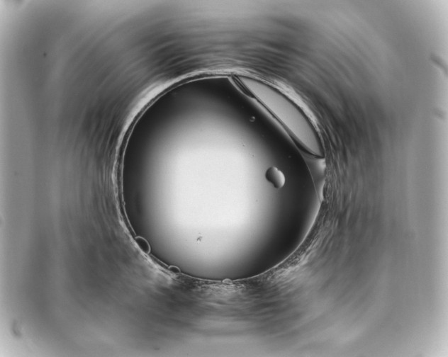 X0000098080959200804181155