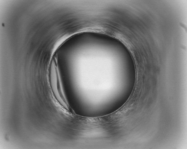 X0000098080960200804181155