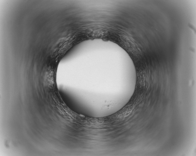 X0000098080962200804181155