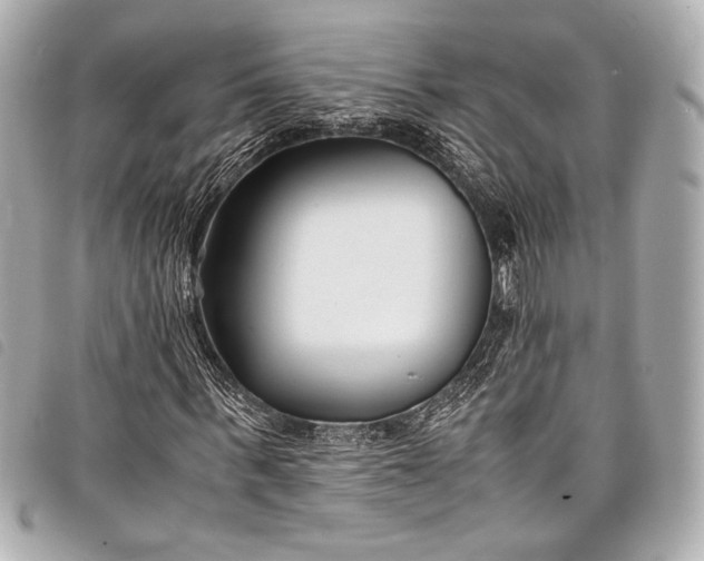 X0000098080963200804181155