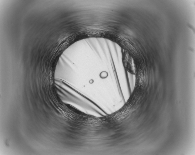 X0000098080964200804181155