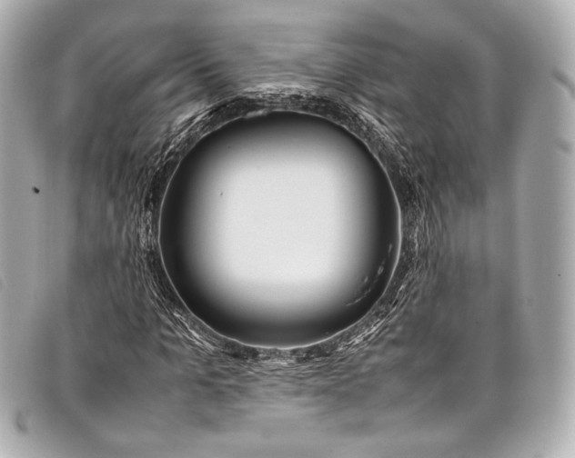 X0000098080965200804181154