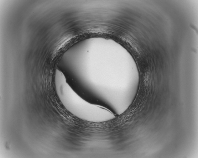 X0000098080968200804181154