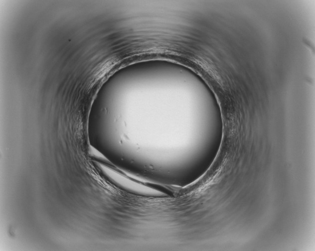 X0000098080969200804181154