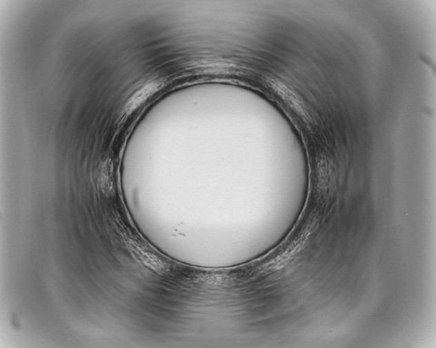 X0000098080970200804181154