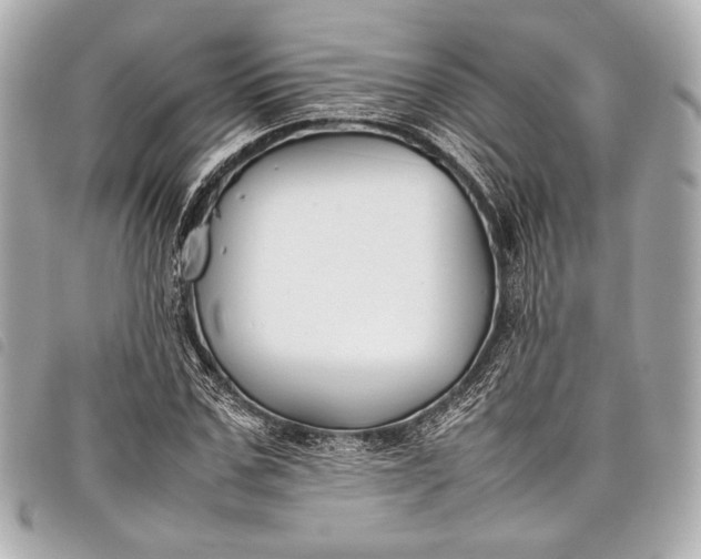 X0000098080971200804181154