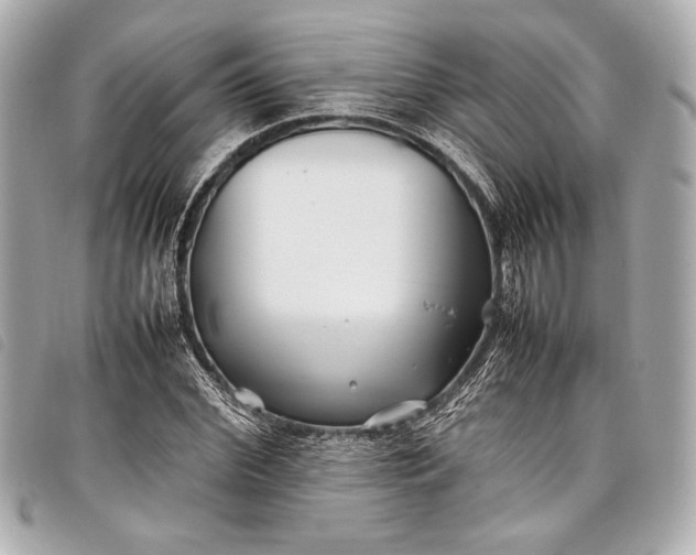 X0000098080972200804181154