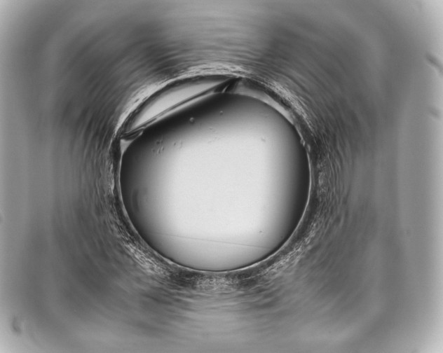 X0000098080973200804181154