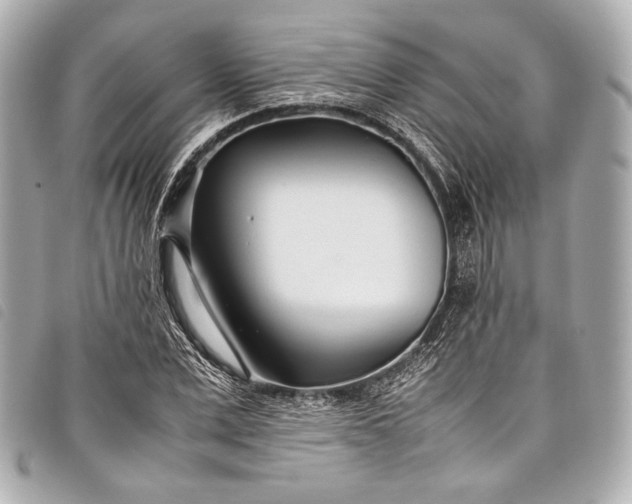 X0000098080975200804181154