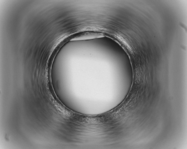 X0000098080976200804181154