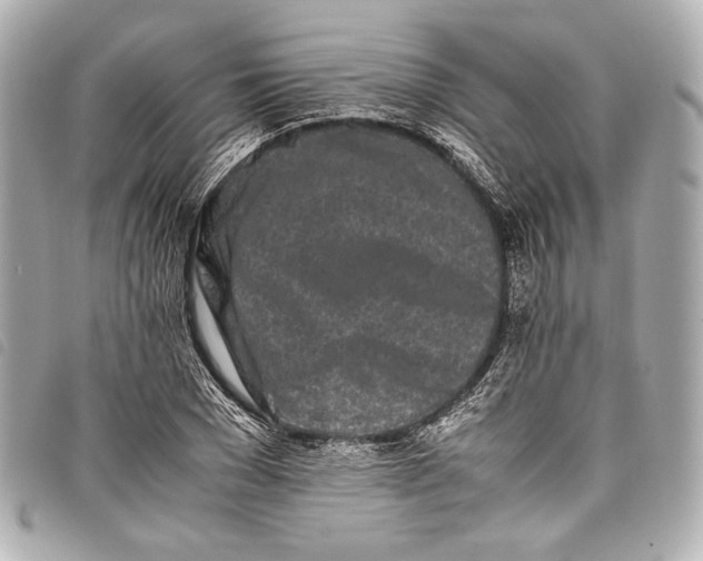 X0000098080977200804181154