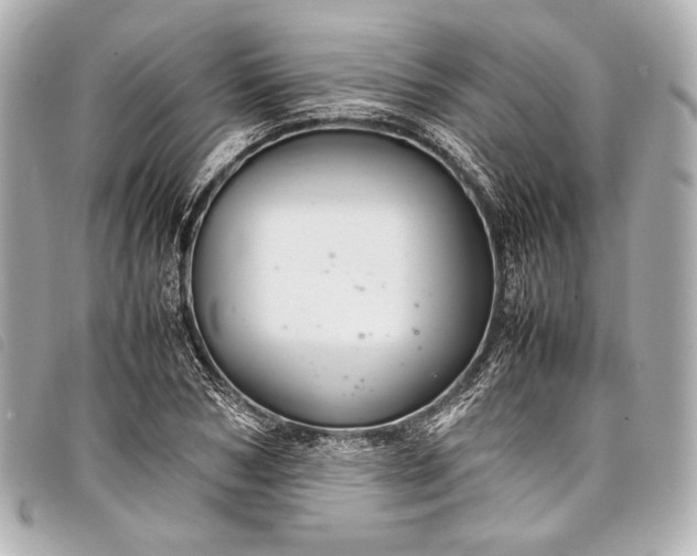 X0000098080978200804181154