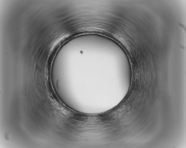 X0000098080979200804181154