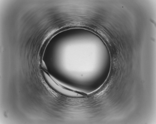 X0000098080981200804181154