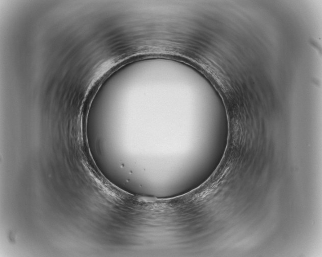 X0000098080982200804181154