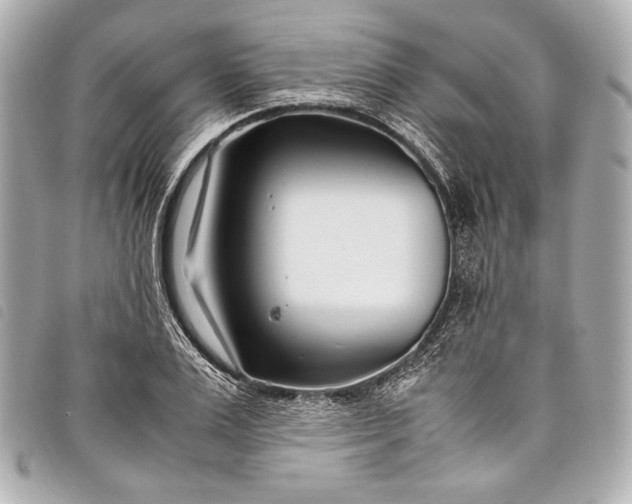 X0000098080983200804181154