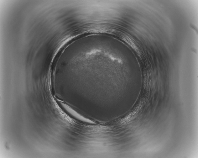 X0000098080984200804181154