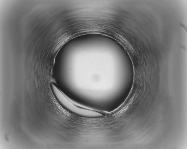 X0000098080985200804181154