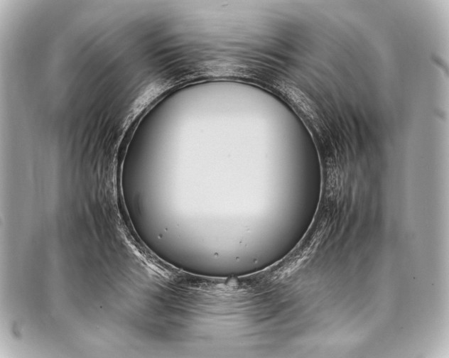 X0000098080986200804181154