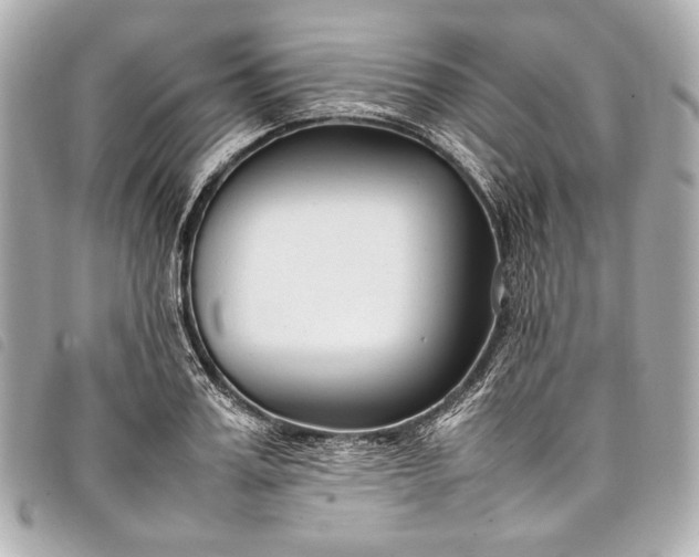 X0000098080987200804181154