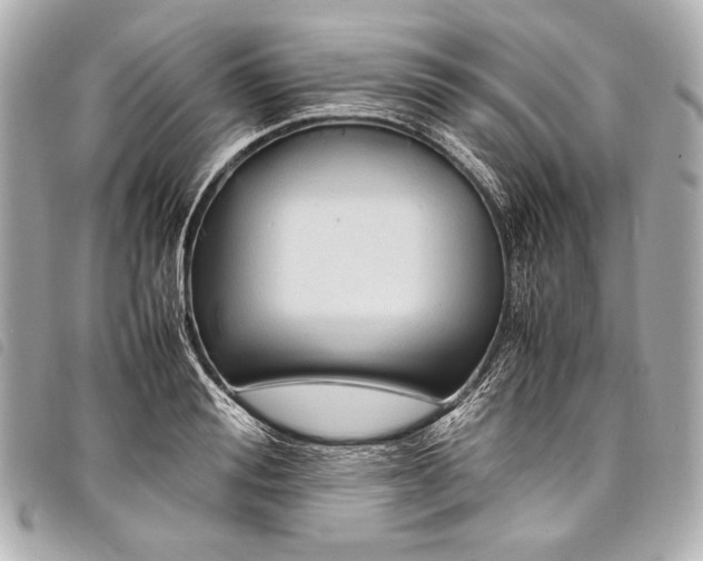 X0000098080988200804181154