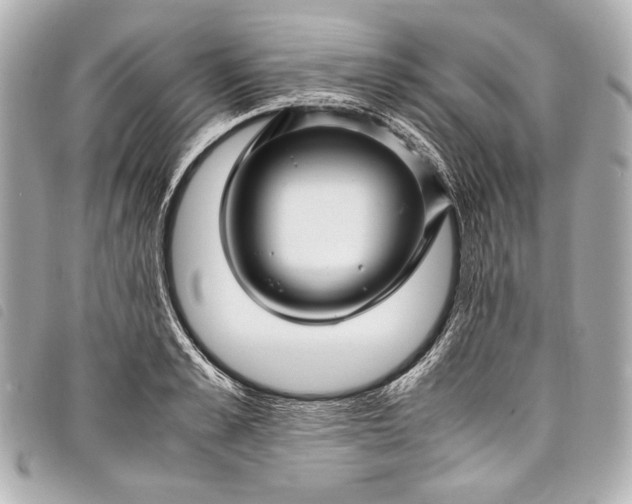 X0000098080989200804181154