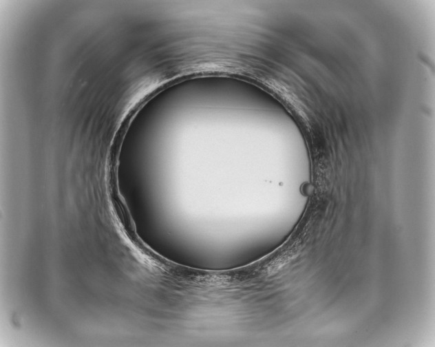 X0000098080991200804181154