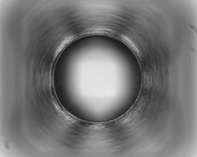 X0000098080994200804181154