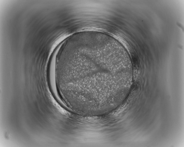 X0000098080995200804181154