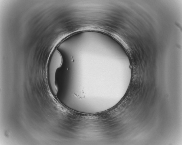 X0000098080996200804181154