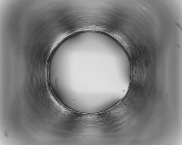 X0000098080998200804181154