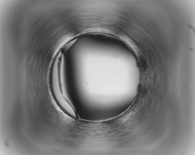 X0000098080999200804181154