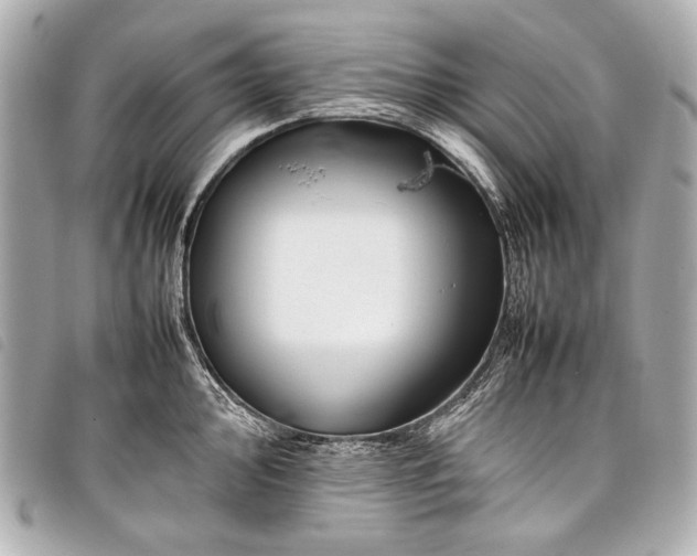 X0000098081000200804181154