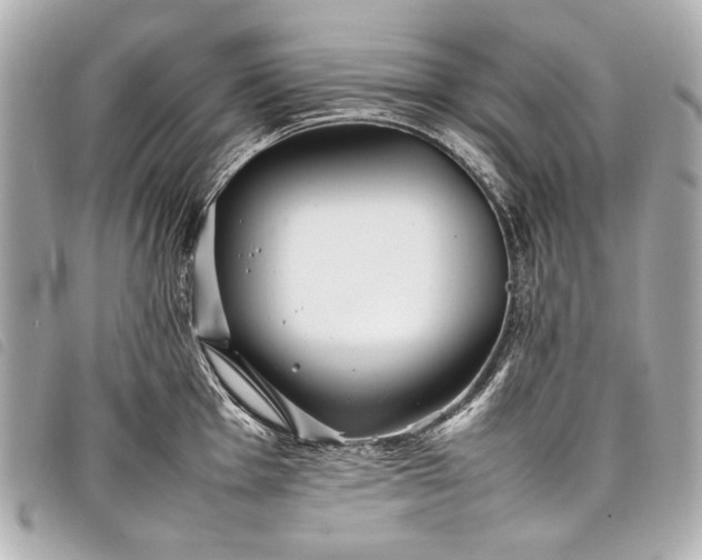 X0000098081001200804181154