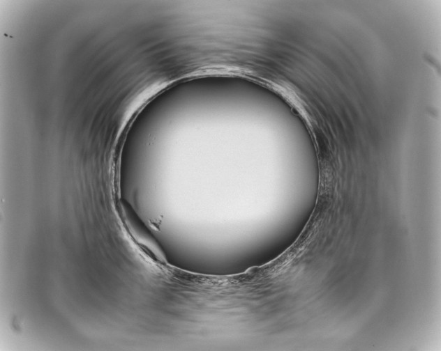 X0000098081003200804181154