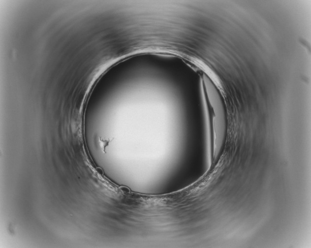 X0000098081004200804181154