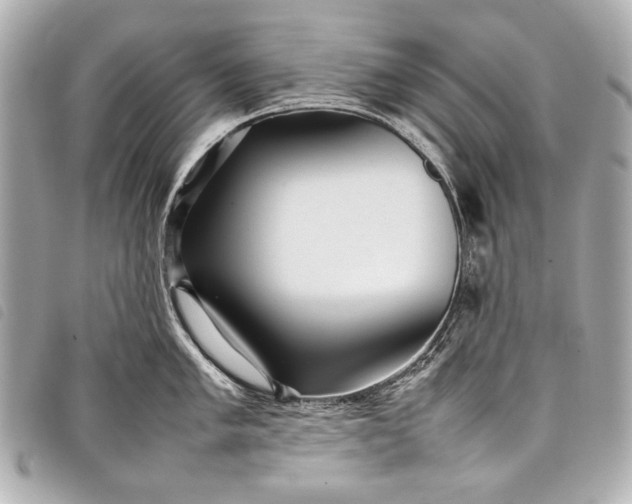 X0000098081005200804181154