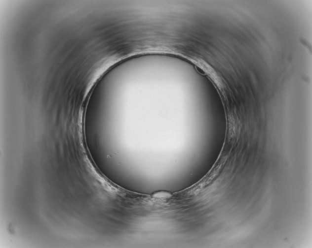 X0000098081006200804181154