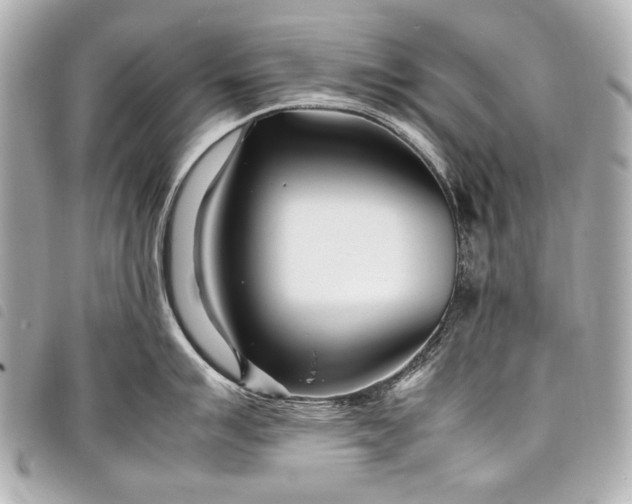 X0000098081007200804181154